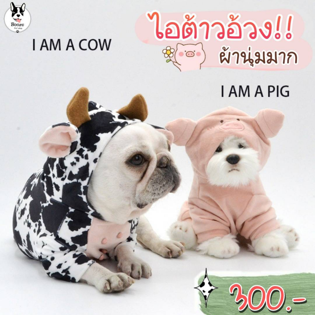 ร้านไทย เสื้อสุนัขมีฮู้ด ชุดหมาอ้วน ลายเหล่าสัตว์น่ารัก ผ้ายืดใส่ง่ายมาก