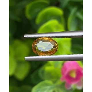 พลอย บุษราคัม yellow sapphire 0.75 กะรัต (Cts.)