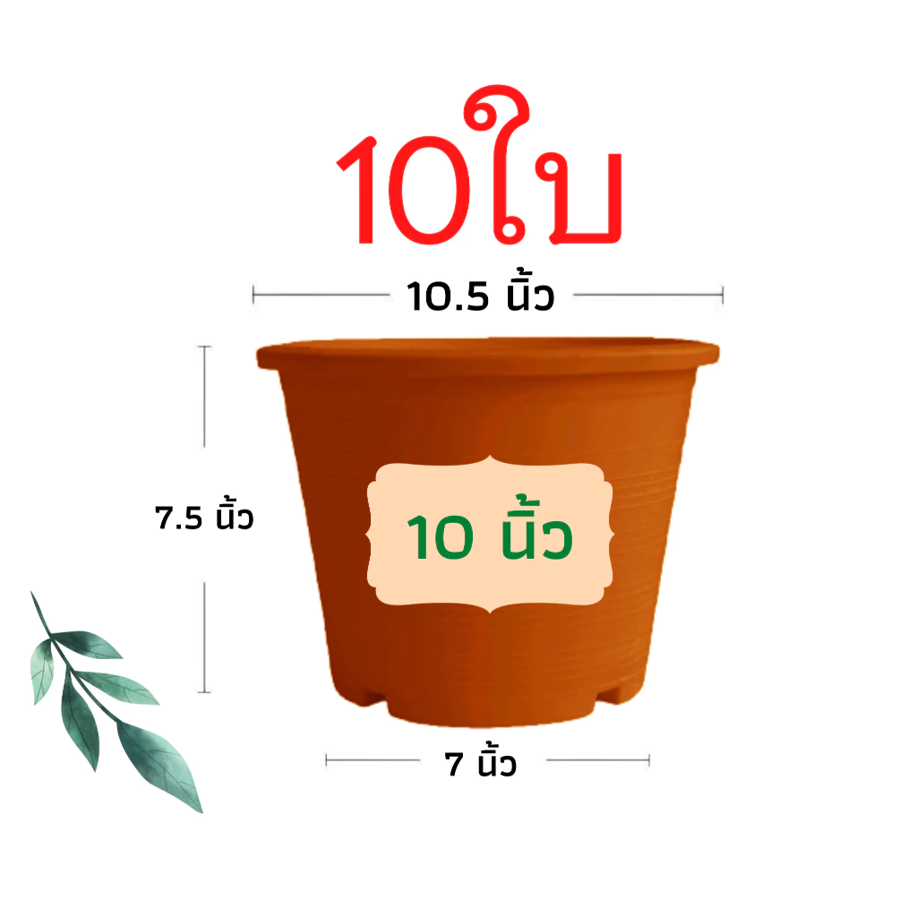 กระถางต้นไม้พลาสติก กระถางต้นไม้ กระถาง สีอิฐ 10 นิ้ว 10ใบ ราคาส่ง