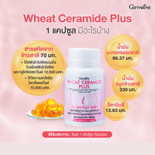 ผิวแห้ง ริ้วรอย กิฟฟารีน วีท เซราไมด์ พลัส Giffarine Wheat Ceramide Plus ผู้ที่ต้องการดูแลผิวเป็นพิเศษ ขนาด 30 เม็ด