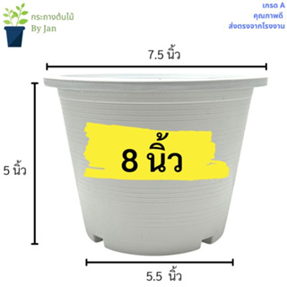 กระถางต้นไม้บอน กระถางแคนตัส และจานรองสีขาว ขนาด 8 นิ้ว ของถูก คุณภาพดี จากโรงงาน