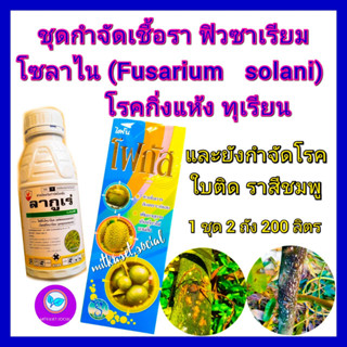 ชุด กำจัดเชื้อรา ฟิวซาเรียม โซลาไน(Fusarium solani)โรคกิ่งแห้งทุเรียน ไดโนโฟกัส 1 ลิตร+ ลากูเร่ 500 cc โรคใบติด ราสีชมพู