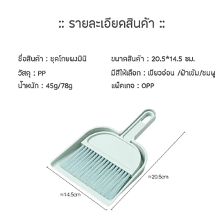 Specialthing ชุดโกยผง ไม้กวาดเล็ก แปรงปัดฝุ่น ที่โกยผงโต๊ะทำงาน ที่ปัดฝุ่น พกพา ที่ตักผง