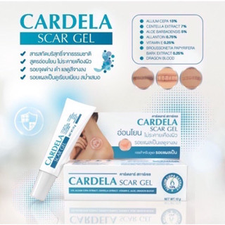 CARDELA Scar Gel 10 g คาร์เดลาร์ สการ์เจล อ่อนโอน รอยแผลเป็นแลดูจางลง 🔥🔥ล๊อตใหม่ล่าสุด 10/11/25🔥🔥