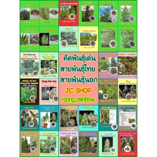 🌱 เมล็ดพันธุ์คัดพิเศษ 🌱 พันธุ์ไทย พันธุ์ไทยหายาก พันธุ์นอก