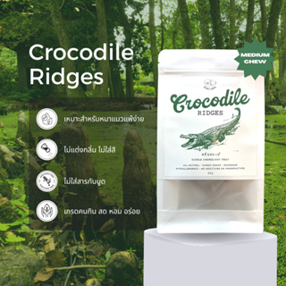 ครีบจระเข้อบแห้ง ขนมหมาแมว ขนาดพอคำ เจ้าแรกในไทย Bellas Bites Crocodile Ridges Chew Treat for Dogs and Cats 50g