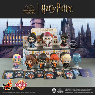 HOT TOYS x COSB! • CBX059 Harry Potter Cosbi Collection❣️พร้อมส่ง...แบบยกกล่อง❣️