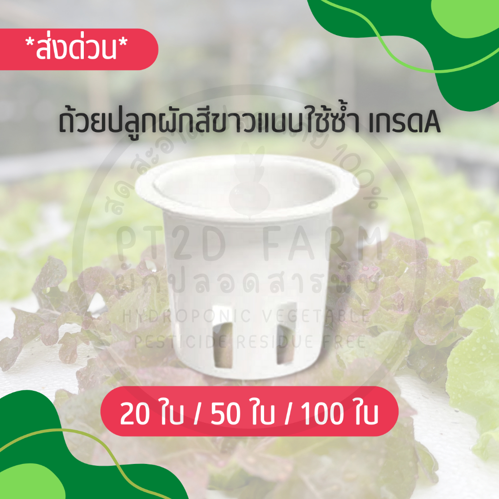 ถ้วยปลูกผักไฮโดรโปนิกส์ 20/50/100ใบ แบบใช้ซ้ำ