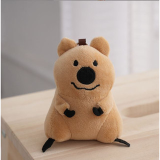 พร้อมส่งค่า พวงกุญแจหมีโคอาล่า น่ารักตัวใหญ่ค่า