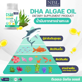 【ของแท้】NBL DHA Algae Oil from Algae Oil 470 mg (30 Capsules)