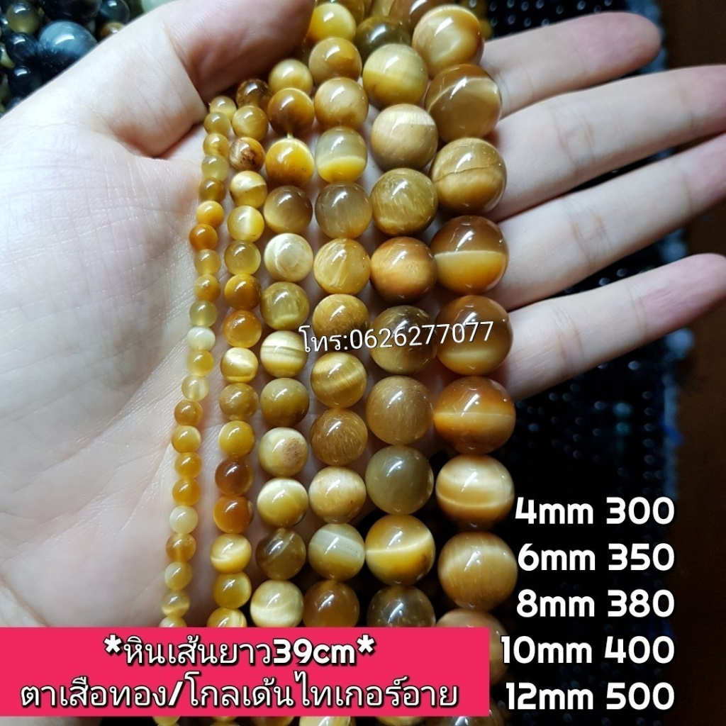 ตาเสือทอง หินเส้นยาวขายส่ง หินแท้คุณภาพ ความยาวประมาณ38cm หินนำโชคราคาส่ง