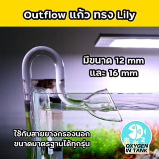 (พร้อมส่ง) Lily Glass Pipe Outflow มี 2 ขนาด 12 mm. และ 16 mm. ผลิตจากแก้ว สำหรับตู้ปลาหรือตู้ไม้น้ำ