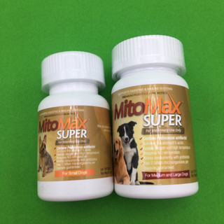 Mito MAx Super สำหรับสุนัข 30 เม็ด เสริมระบบภูมิคุ้มกันของทางเดินอาหาร และป้องกันการเจริญของแบคทีเรียที่ก่อโรค