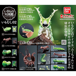 (ครบชุดพร้อมส่ง) กาชาปองหนอนผีเสื้อ Gashapon Dango Mushi Imomushi Vol.02 Bandai โมเดลสัตว์