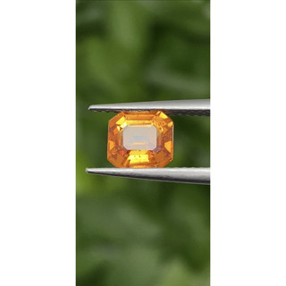 พลอย บุษราคัม Yellow Sapphire 1.44 กะรัต (Cts.)