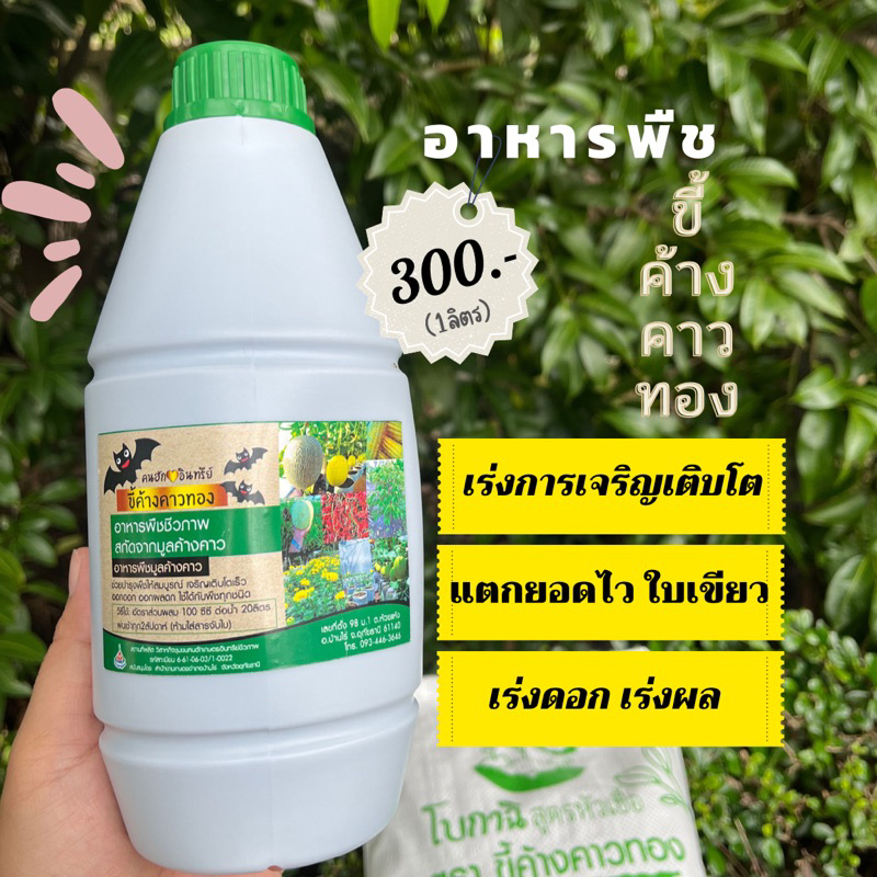 ขี้ค้างคาวทอง แตกยอดไว ใบเขียว เพิ่มผลผลิต ชีวภาพแท้