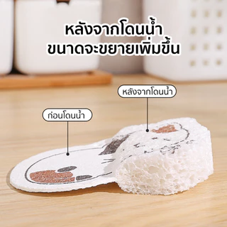 🏷️[Home]🍞 ฟองน้ําบีบอัด ฟองน้ําล้างจาน เครื่องมือทําความสะอาดน้ํามันในครัว ฟองน้ำล้างจาน ฟองน้ำ ใยขัด ฟองน้ำมหัศจรรย์