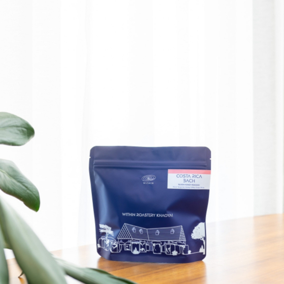 Within Coffee Costa Rica Bach เมล็ดกาแฟ 200g