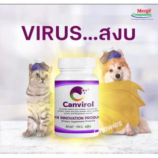 Canvirol 170mgและ850 mg(บรรจุ10-30แคปซูล)อาหารเสริมภูมิต้านทานสุนัขและแมว
