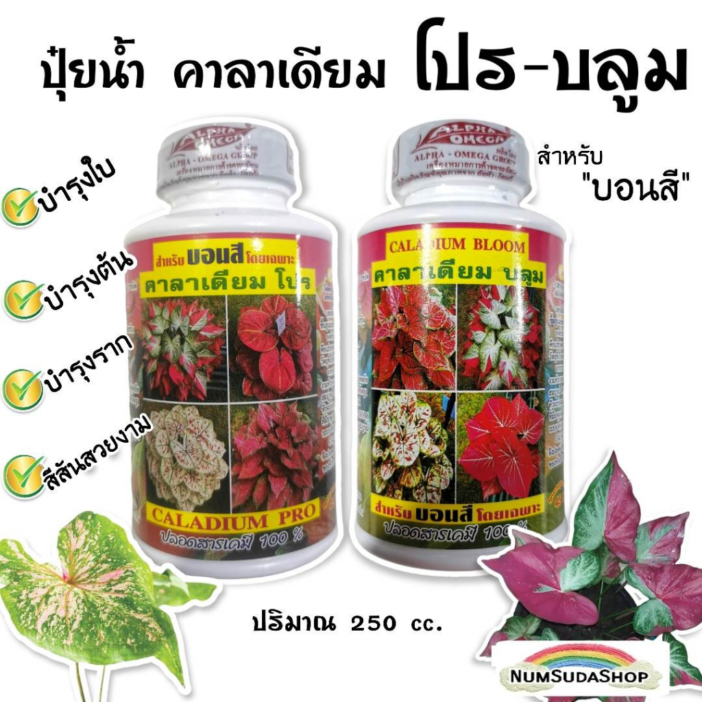 ปุ๋ยบอนสี คาลาเดียมโปร คาราเดียมบลูม ปริมาณ250cc