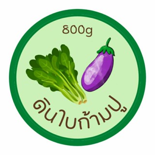 ดินใบก้ามปู แบ่งขายขนาด 800 กรัม เหมาะสำหรับผู้ที่ปลูกต้นผักในกระถาง