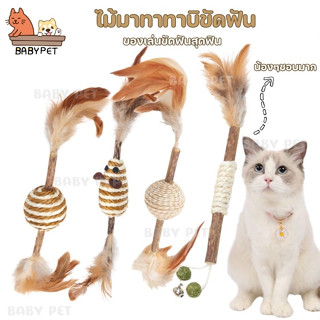 【K】BABY PET😺🌿ไม้มาทาทาบิขัดฟัน ล่อแมวสุดฟิน สัตว์เลี้ยงชอบ วัสดุธรรมชาติ 🌿