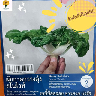 เมล็ด ผักกาดกวางตุ้งสโนไวท์ (Baby Bokchoy Snow White )