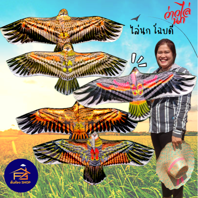 🦅ว่าว ว่าวนกอินทรีย์ ว่าวไล่นก ว่าวไล่ศัตรูพืชขนาด 110CMx45CM ส่งด่วนจากไทย