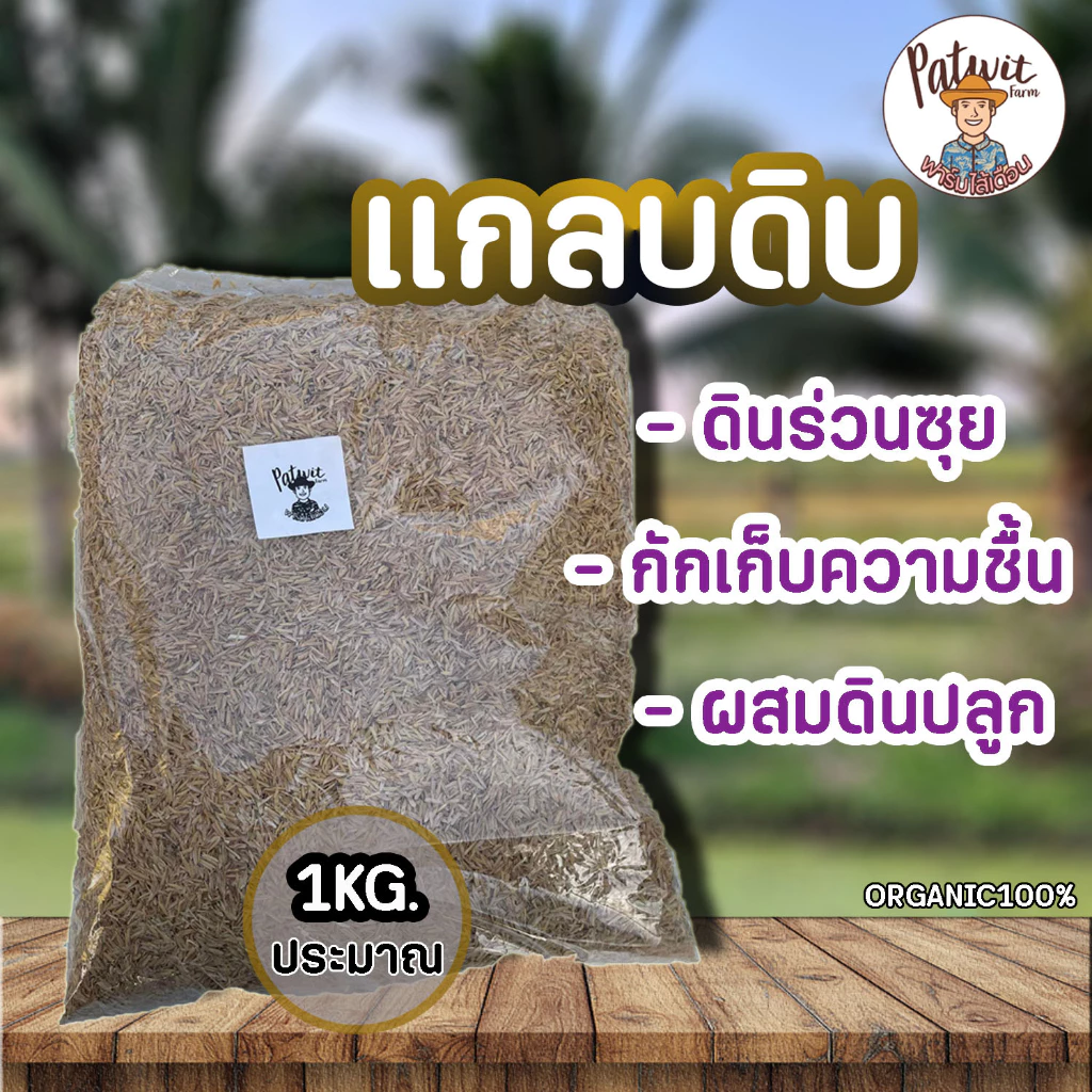(2ถุง50)(15ถุงส่งฟรี)แกลบดิบ แกลบขาว แกลบใหม่ 1KG. ช่วยเพิ่มช่องว่างในดิน วัสดุเพาะเห็ด ปลูกกุหลาบ หมักปุ๋ย ถ่านไบโอชาร์