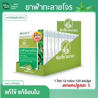 Handyherb (ช่อมะกอกเขียว) ฟ้าทะลายโจร  (1 กล่อง 12 เเผง 120 เเคปซูล) แก้ไข้ แก้ร้อนใน