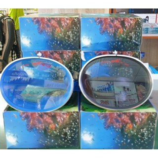🐳 หน้ากากดำน้ำ Kinugawa มีเข้ามา 2สี (เลือกสีในแชท) 🐳