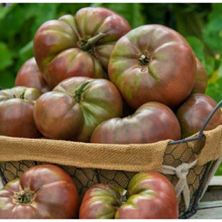 เมล็ดพันธุ์มะเขือเทศเนื้อ เชอโรกี คาร์บอน (Cherokee Carbon Tomato Seed) บรรจุ 25 เมล็ด ของแท้ คุณภาพดี ราคาถูก นำเข้าจาก