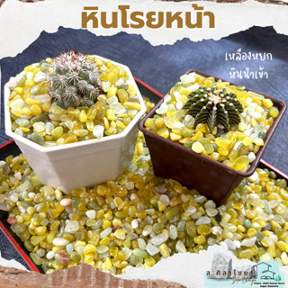 🪴 หินโรย เหลืองหยก บรรจุ 500 g. หินโรยกระถาง 🪴🪴 หินโรยหน้ากระถาง หินตกแต่งสวน หินแคดตัส🪴