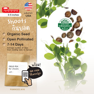 เมล็ดผักนำเข้า ถั่ว กินยอด บำรุงดิน Pea Shoots, Field Pea (Organic Seed) พืชหมุนเวียน