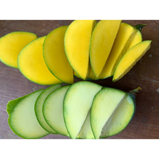 มะม่วงแก้วขมิ้นสดๆจากสวน ลูกใหญ่ๆ (2-3ลูก1กิโล)