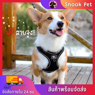 🧺Snook Pet🧺สายรัดอก ระบายความร้อน สายรัดสุนัข สำหรับสุนัขและแมว สายจูงสุนัข ฟรีสายจูง สินค้าพร้อมจัดส่ง🚚