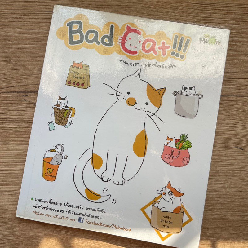 Bad Cat เม้าท์เหมียวกัน