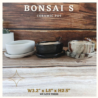 กระถางเซรามิค Bonsai S "สินค้ามาใหม่"