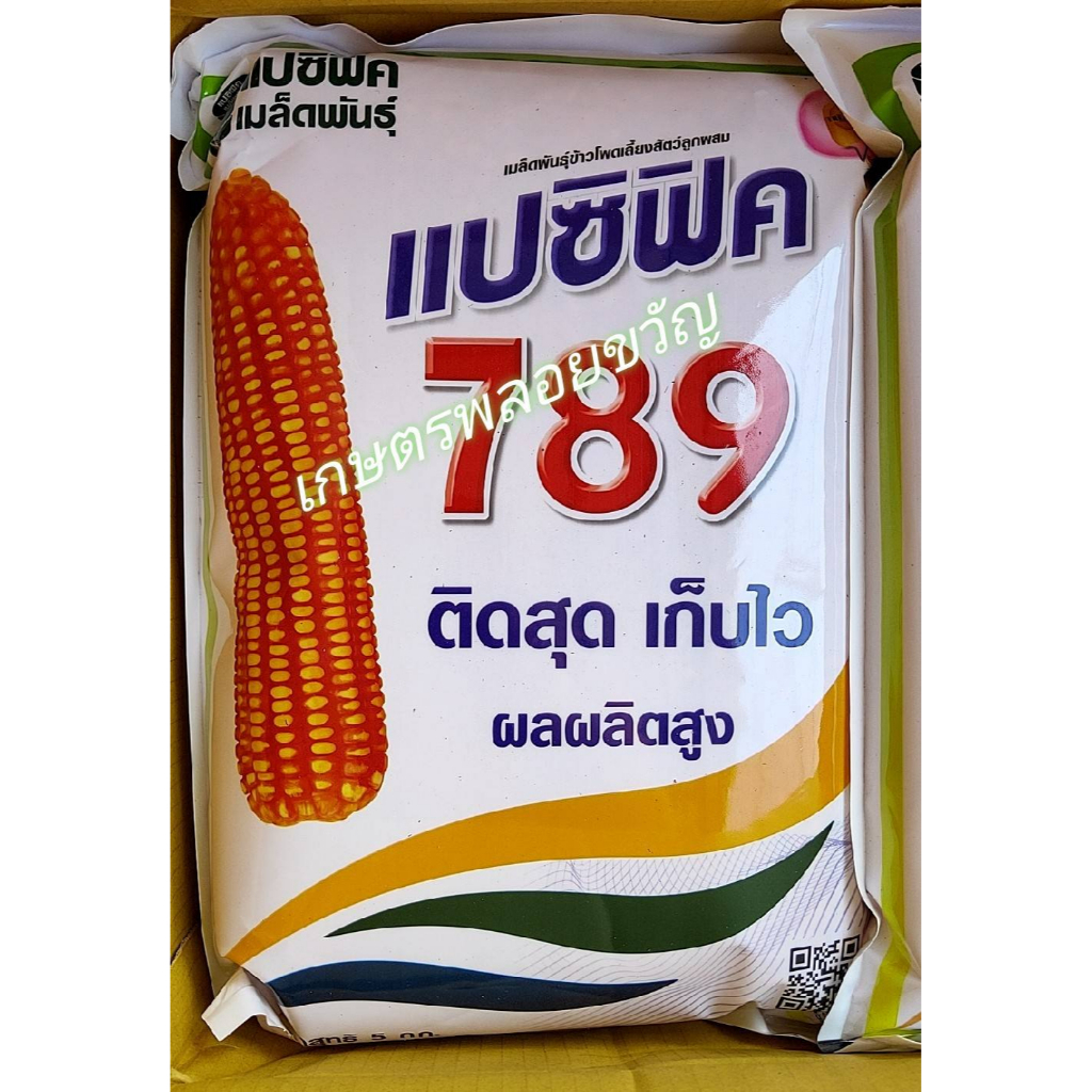 เมล็ดพันธุ์ ข้าวโพด เลี้ยงสัตว์ 789แปซิฟิก บรรจุ 5 กก. ฟักสีส้มสวยมาก ไก่ชน เป็ด ไก่ชอบ  ขนาดเม็ด 3ห