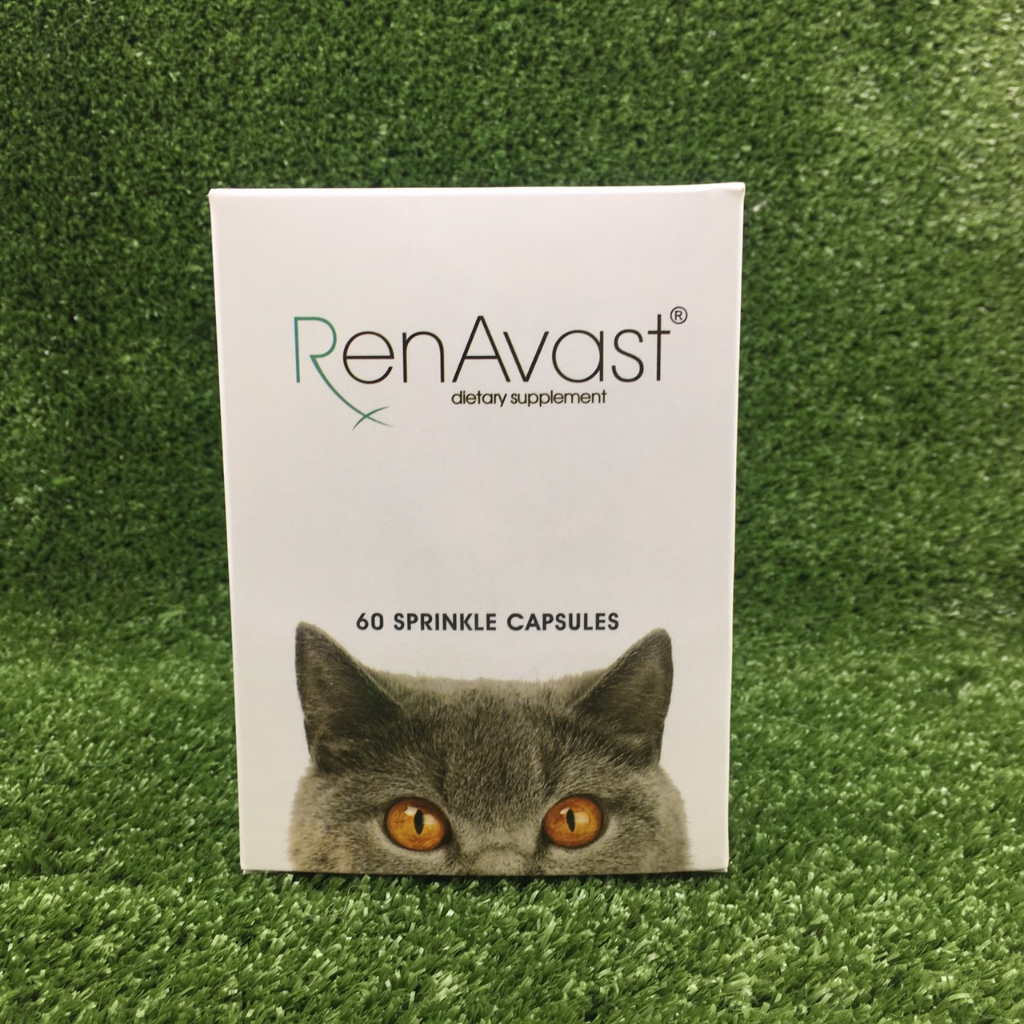 Renavast cat อาหารเสริมโปรตีนสำหรับแมวโรคไต