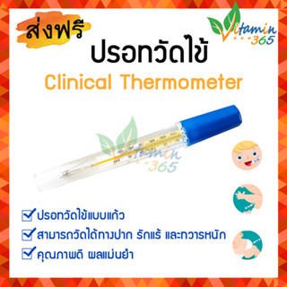 ปรอทแก้ว ปรอทวัดไข้ Clinical Thermometer ปรอทวัดไข้แบบแก้ว สามารถวัดได้ทางปาก รักแร้ และทวารหนัก คุณภาพดี ได้มาตรฐาน