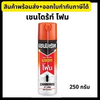 Chaindrite เชนไดร้ท์โฟม ป้องกันและกำจัดปลวก มด แมลงสาป 250cc