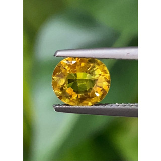 พลอย บุษราคัม Yellow Sapphire 1.68 กะรัต (Cts.)