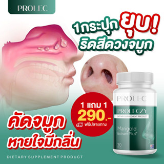 1 แถม 1 Prolec marigold บรรเทาไซนัส อาการเหนื่อย หอบ และภูมิแพ้ทุกอาการ