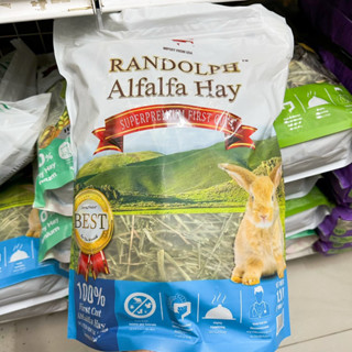 randolph alfalfa hay 1.1L ซุปเปอร์พรีเมี่ยม หญ้าที่ช่วยฟื้นฟูสุขภาพ มีโปรตีน วิตามินและแร่ธาตุที่ดี มีความน่ากิน