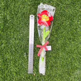 🇹🇭 ดอกไม้รับปริญญา ปัจฉิม 💐🫧 ช่อดอกไม้ตุ๊กตาห่อซองใสพิมพ์ลายผูกโบว์ 💌🌷By Newkwan Studio