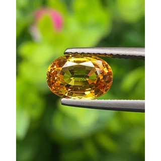 พลอย บุษราคัม yellow sapphire ซองเจีย 2.47 กะรัต