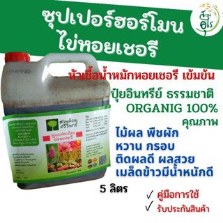 ซุปเปอร์ฮอร์โมนไข่หอยเชอรี 5ลิตร หัวเชื้อน้ำหมักหอยเชอรี เข้มข้น คุณภาพ Organic100% ฮอร์โมนไข่หอยเชอรี น้ำหมักหอยเชอรี