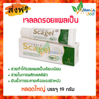 (19กรัม) Cybele Scagel ซีเบล สกาเจล เจลลดรอยแผลเป็น