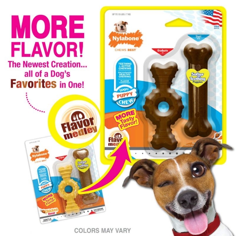 Nylabone​ Puppy​ Twin Pack ไนลาโบน​ ลูก​สุนัข​ แพ็ค​คู่​